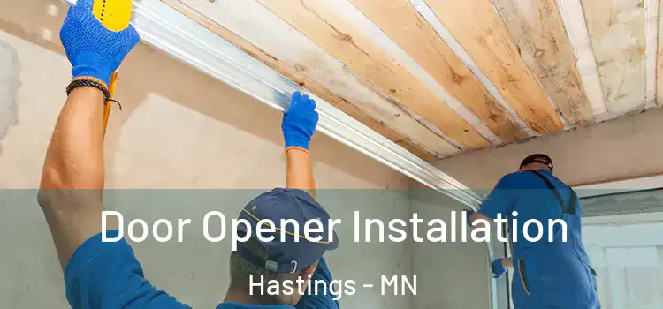 Door Opener Installation Hastings - MN