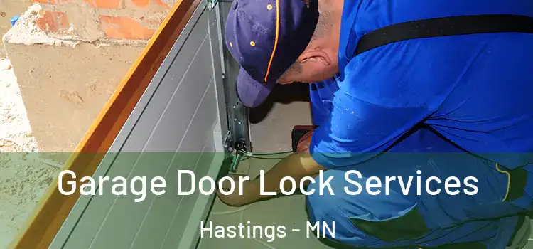 Garage Door Lock Services Hastings - MN