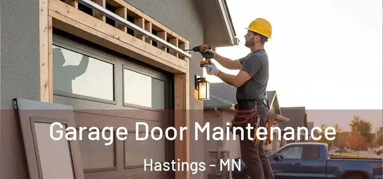  Garage Door Maintenance Hastings - MN
