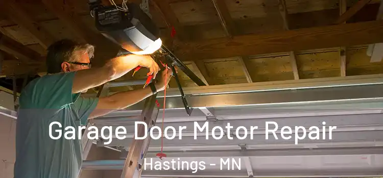  Garage Door Motor Repair Hastings - MN