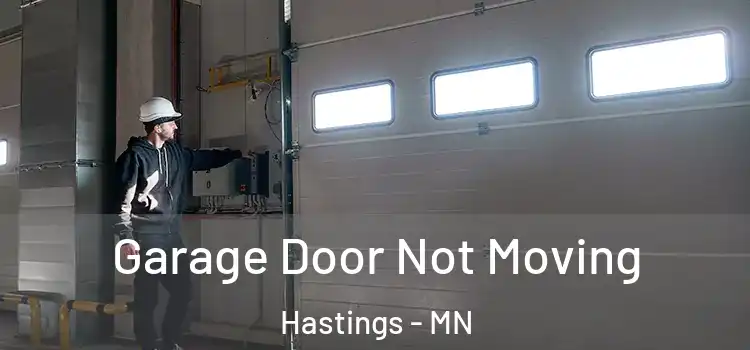  Garage Door Not Moving Hastings - MN