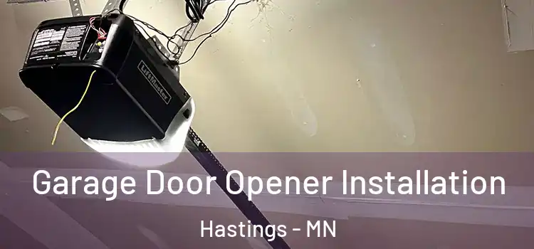  Garage Door Opener Installation Hastings - MN