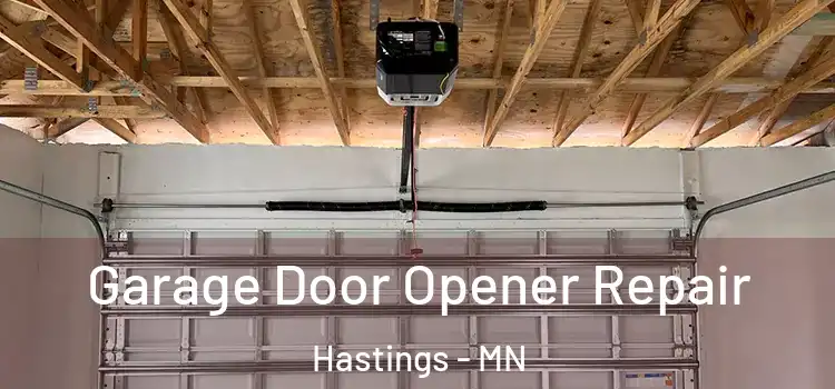  Garage Door Opener Repair Hastings - MN