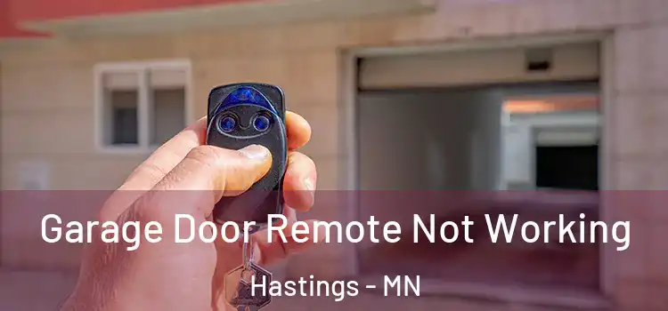  Garage Door Remote Not Working Hastings - MN