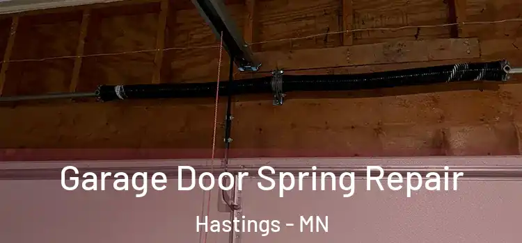  Garage Door Spring Repair Hastings - MN