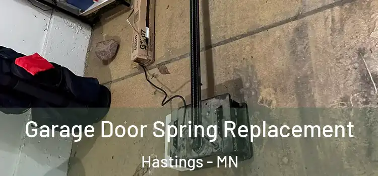  Garage Door Spring Replacement Hastings - MN