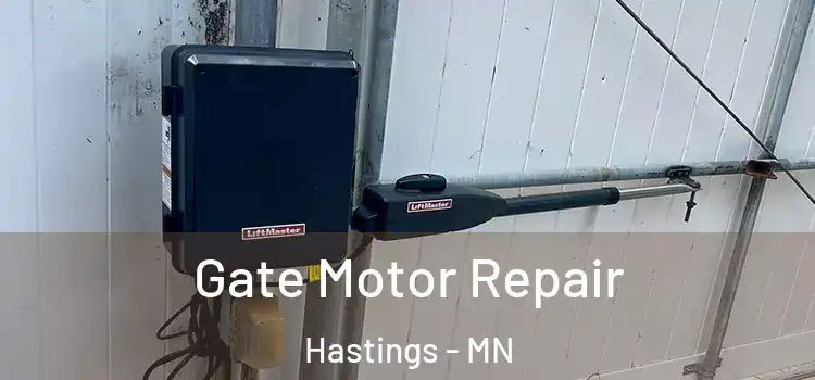  Gate Motor Repair Hastings - MN