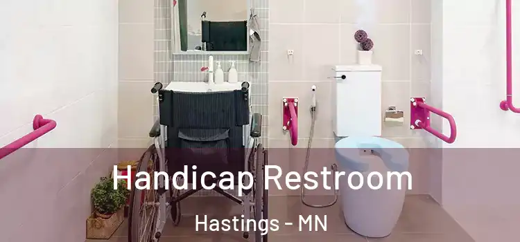 Handicap Restroom Hastings - MN