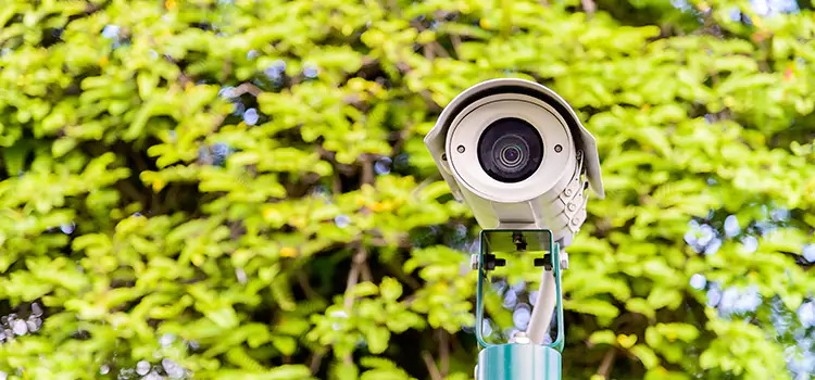 Advanced Surveillance Solutions for Every Need in Hastings