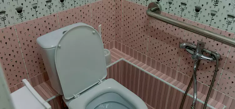 Meeting Diverse Needs With Accessible Restroom Solutions in Hastings, MN
