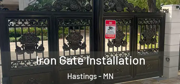 Iron Gate Installation Hastings - MN