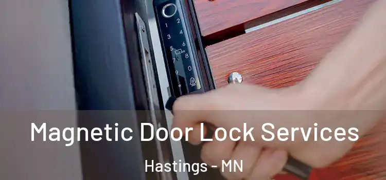 Magnetic Door Lock Services Hastings - MN