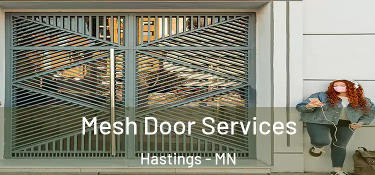 Mesh Door Services Hastings - MN