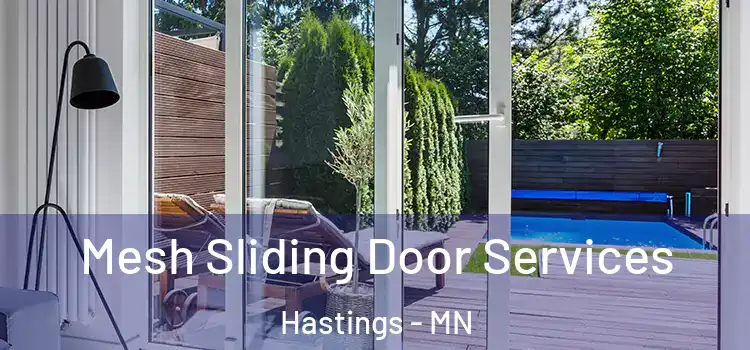 Mesh Sliding Door Services Hastings - MN