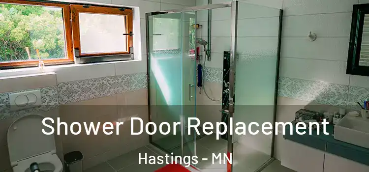 Shower Door Replacement Hastings - MN